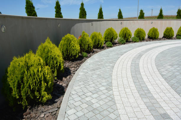 Best Driveway Repair Near Me  in Orono, MN